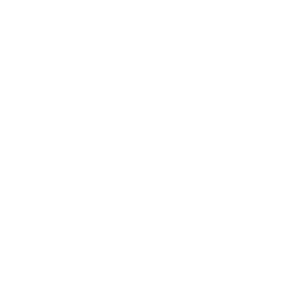 IIFF Logo reversed